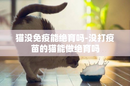 貓沒免疫能絕育嗎-沒打疫苗的貓能做絕育嗎