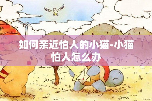 如何親近怕人的小貓-小貓怕人怎么辦