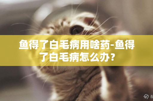 魚得了白毛病用啥藥-魚得了白毛病怎么辦？