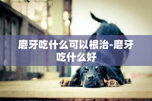 磨牙吃什么可以根治-磨牙吃什么好