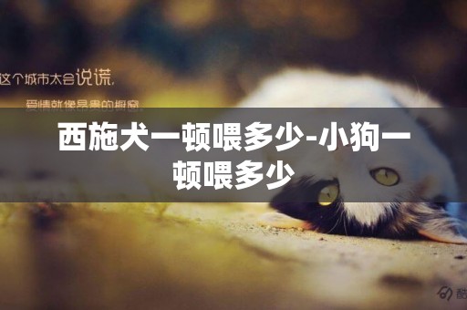 西施犬一頓喂多少-小狗一頓喂多少