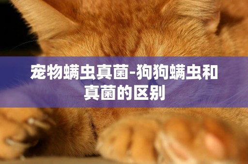 寵物螨蟲真菌-狗狗螨蟲和真菌的區別