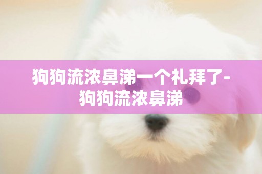 狗狗流濃鼻涕一個禮拜了-狗狗流濃鼻涕