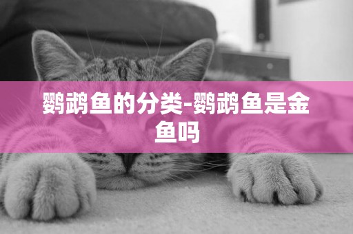 鸚鵡魚的分類-鸚鵡魚是金魚嗎