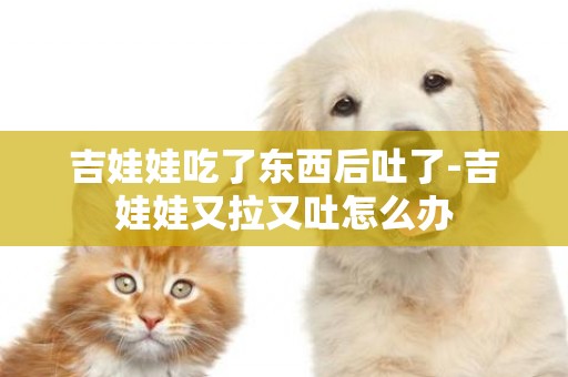 吉娃娃吃了東西后吐了-吉娃娃又拉又吐怎么辦