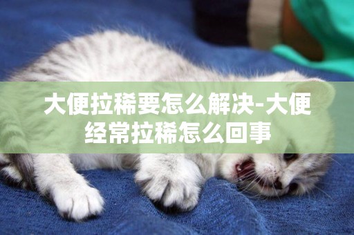 大便拉稀要怎么解決-大便經常拉稀怎么回事