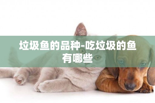 垃圾魚的品種-吃垃圾的魚有哪些