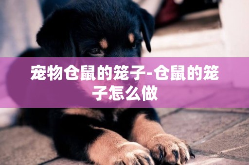 寵物倉鼠的籠子-倉鼠的籠子怎么做