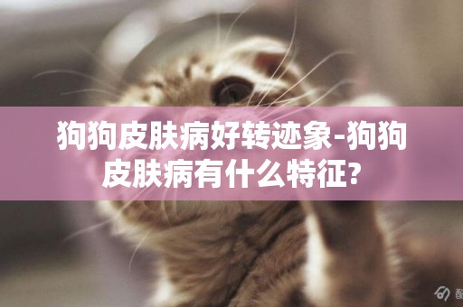 狗狗皮膚病好轉跡象-狗狗皮膚病有什么特征?
