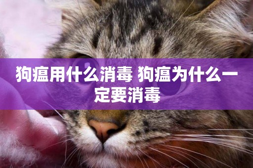 狗瘟用什么消毒 狗瘟為什么一定要消毒