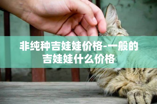 非純種吉娃娃價格-一般的吉娃娃什么價格