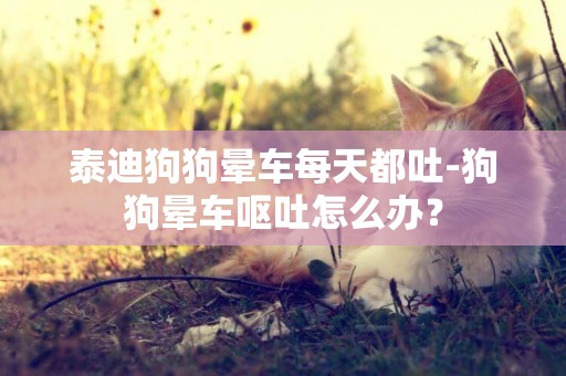 泰迪狗狗暈車每天都吐-狗狗暈車嘔吐怎么辦？