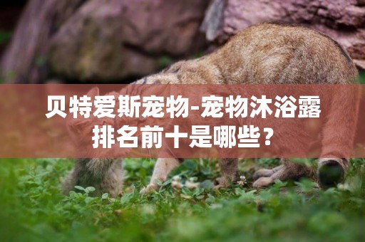貝特愛斯寵物-寵物沐浴露排名前十是哪些？