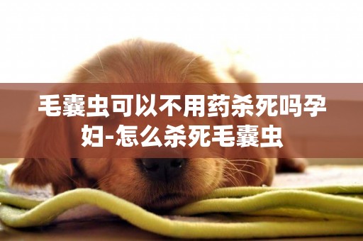 毛囊蟲可以不用藥殺死嗎孕婦-怎么殺死毛囊蟲