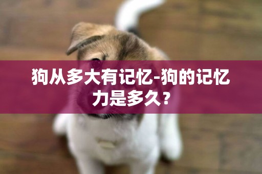狗從多大有記憶-狗的記憶力是多久？