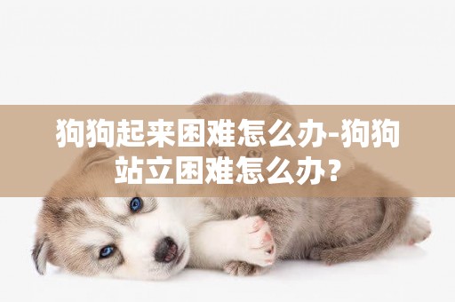 狗狗起來困難怎么辦-狗狗站立困難怎么辦？