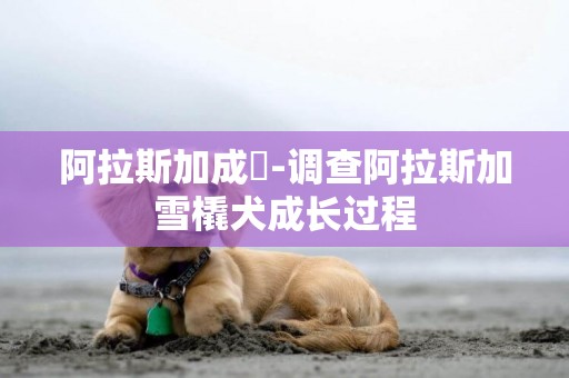 阿拉斯加成長-調查阿拉斯加雪橇犬成長過程