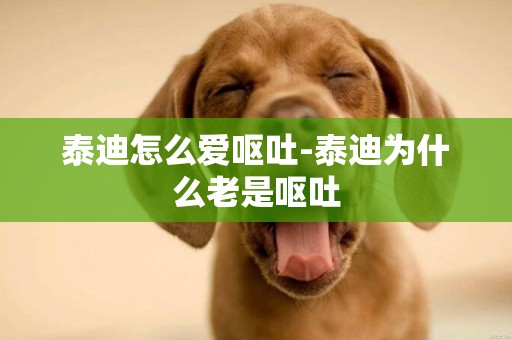 泰迪怎么愛嘔吐-泰迪為什么老是嘔吐