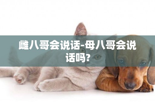 雌八哥會說話-母八哥會說話嗎?