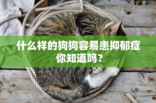 什么樣的狗狗容易患抑郁癥 你知道嗎？
