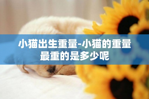 小貓出生重量-小貓的重量最重的是多少呢