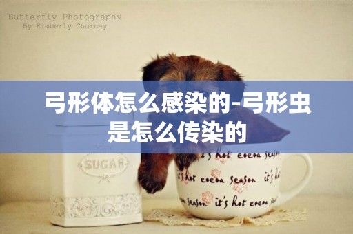 弓形體怎么感染的-弓形蟲是怎么傳染的