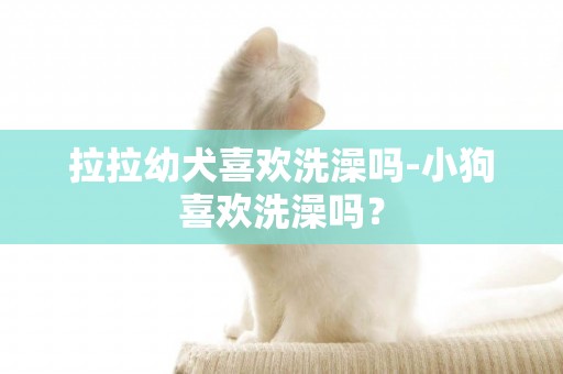 拉拉幼犬喜歡洗澡嗎-小狗喜歡洗澡嗎？