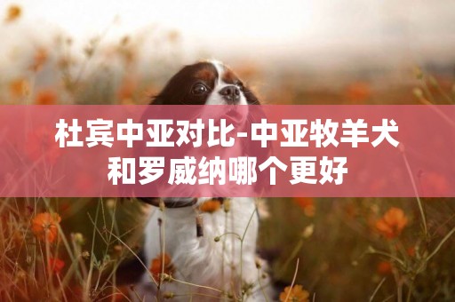 杜賓中亞對比-中亞牧羊犬和羅威納哪個更好