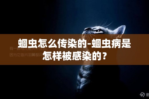 蛔蟲怎么傳染的-蛔蟲病是怎樣被感染的？