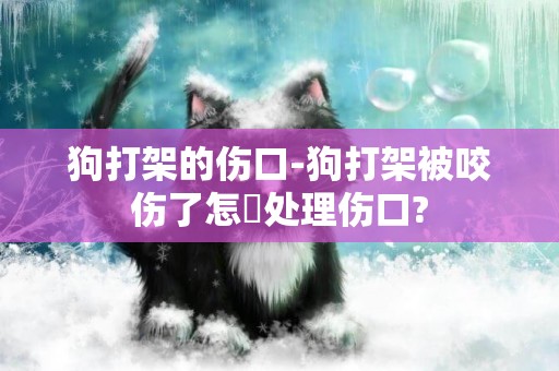 狗打架的傷口-狗打架被咬傷了怎麼處理傷口?