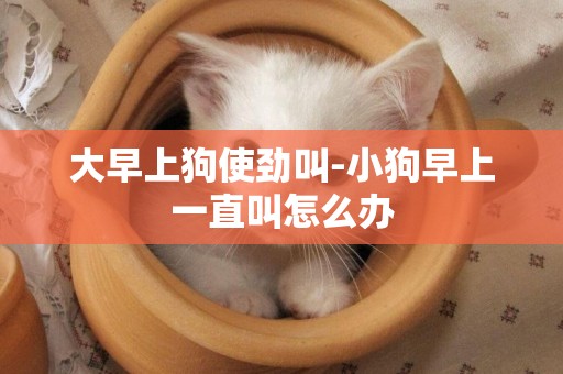 大早上狗使勁叫-小狗早上一直叫怎么辦