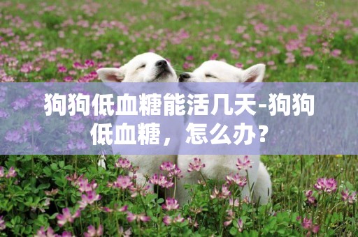 狗狗低血糖能活幾天-狗狗低血糖，怎么辦？