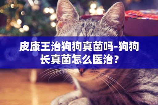 皮康王治狗狗真菌嗎-狗狗長真菌怎么醫治？