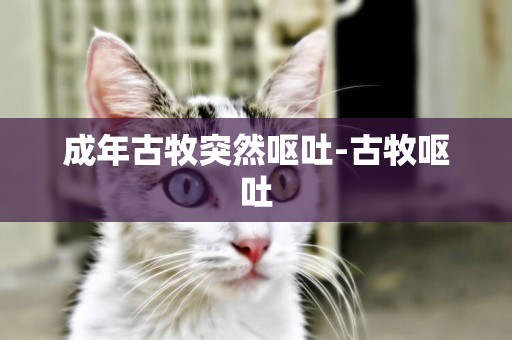 成年古牧突然嘔吐-古牧嘔吐