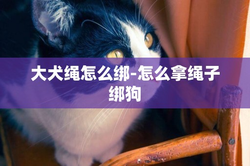 大犬繩怎么綁-怎么拿繩子綁狗