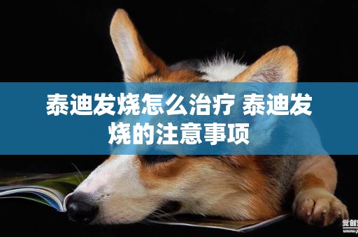 泰迪發燒怎么治療 泰迪發燒的注意事項