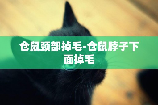 倉鼠頸部掉毛-倉鼠脖子下面掉毛