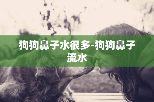 狗狗鼻子水很多-狗狗鼻子流水