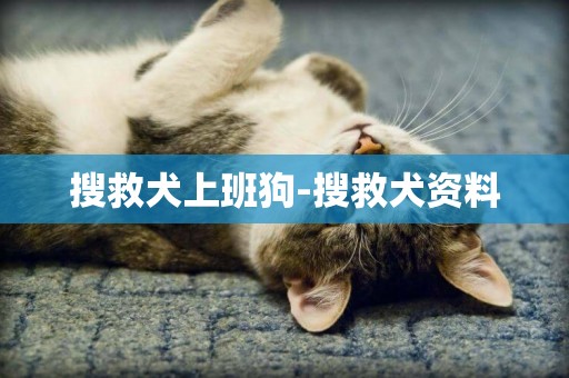 搜救犬上班狗-搜救犬資料