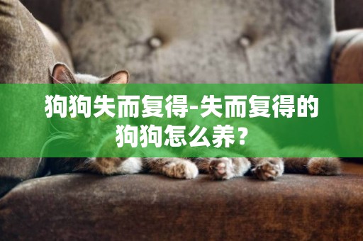 狗狗失而復得-失而復得的狗狗怎么養？