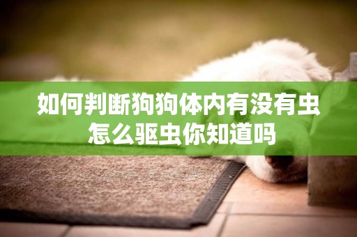 如何判斷狗狗體內有沒有蟲 怎么驅蟲你知道嗎