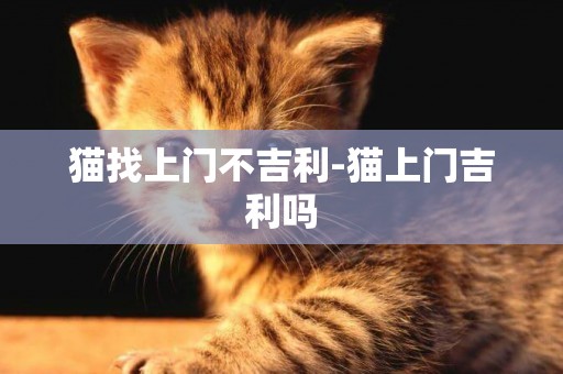 貓找上門不吉利-貓上門吉利嗎
