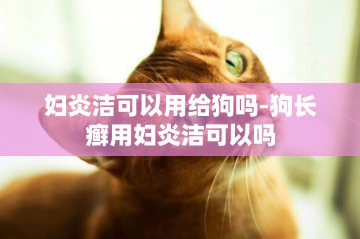 婦炎潔可以用給狗嗎-狗長癬用婦炎潔可以嗎