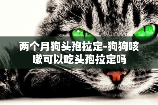 兩個月狗頭孢拉定-狗狗咳嗽可以吃頭孢拉定嗎