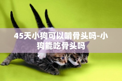45天小狗可以啃骨頭嗎-小狗能吃骨頭嗎