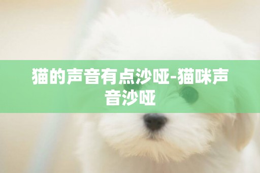 貓的聲音有點沙啞-貓咪聲音沙啞