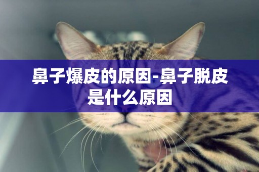 鼻子爆皮的原因-鼻子脫皮是什么原因
