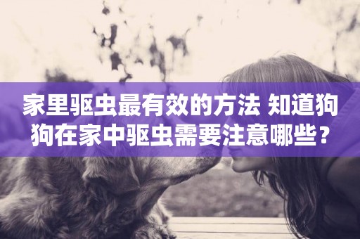 家里驅蟲最有效的方法 知道狗狗在家中驅蟲需要注意哪些？