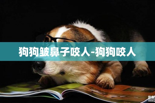 狗狗皺鼻子咬人-狗狗咬人