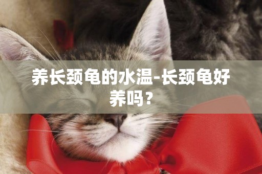 養長頸龜的水溫-長頸龜好養嗎？